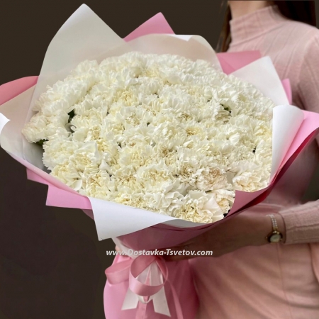 101 white carnations "Ice Silk"