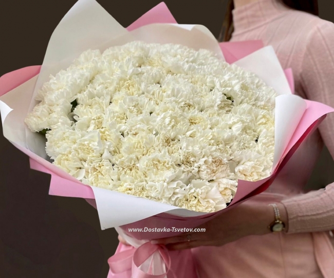 Flowers 101 white carnations "Ice Silk"