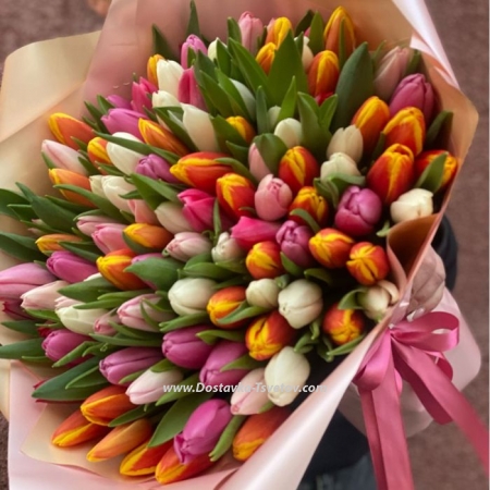 101 tulips "Apricot"