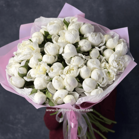 51 peonies "White Galaxy"