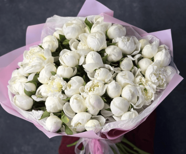 Flowers 51 peonies "White Galaxy"