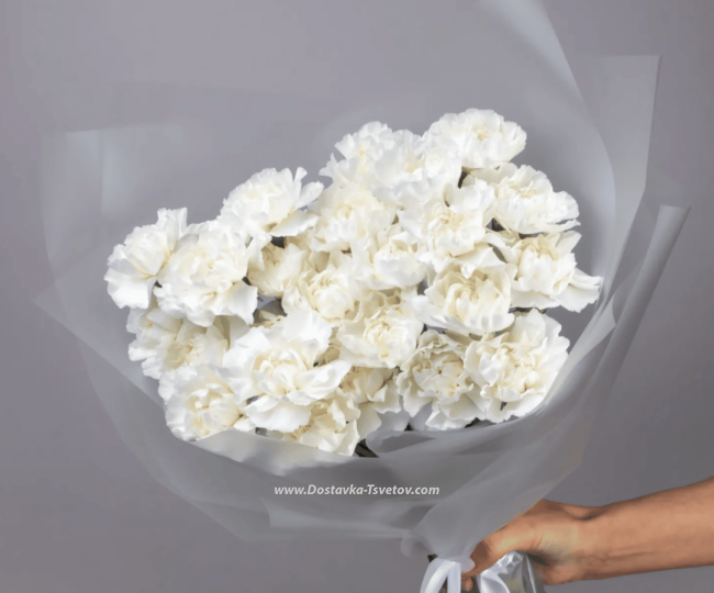Flowers 25 carnations in a bouquet "Swan Grace"