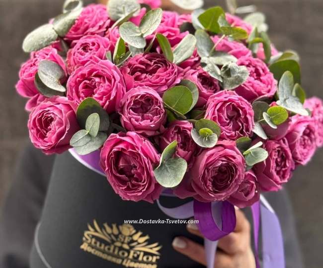 Peony bush "Rose of the Winds" - photo #2