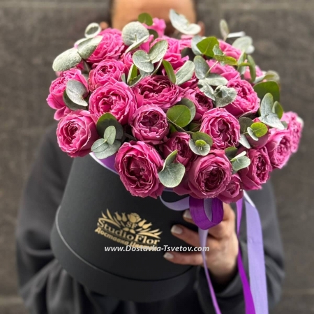 Peony bush "Rose of the Winds"