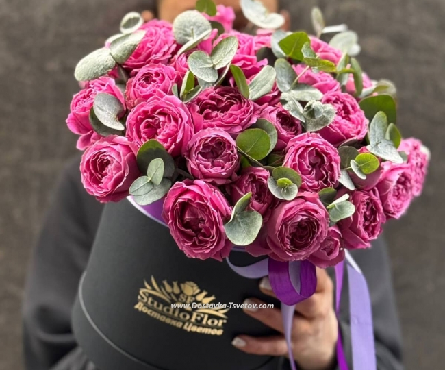 Flowers Peony bush "Rose of the Winds"