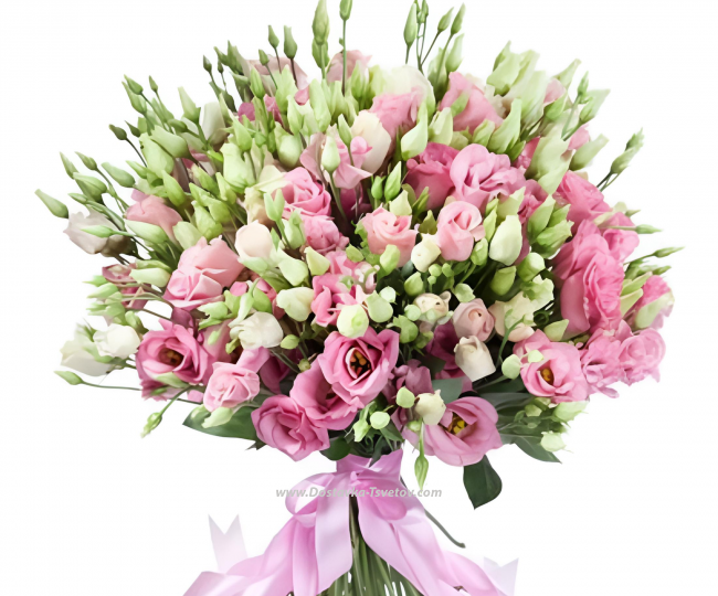 Eustoma A large bouquet of 101 eustomas "Miss Eustoma"