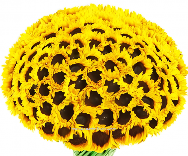 Sunflowers Large bouquet "101 sunflower"