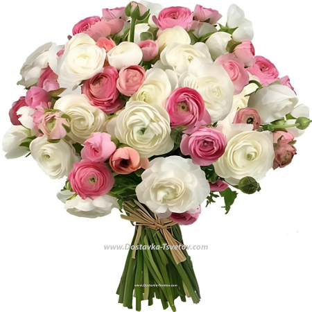 Buttercups "Cherished Dream"