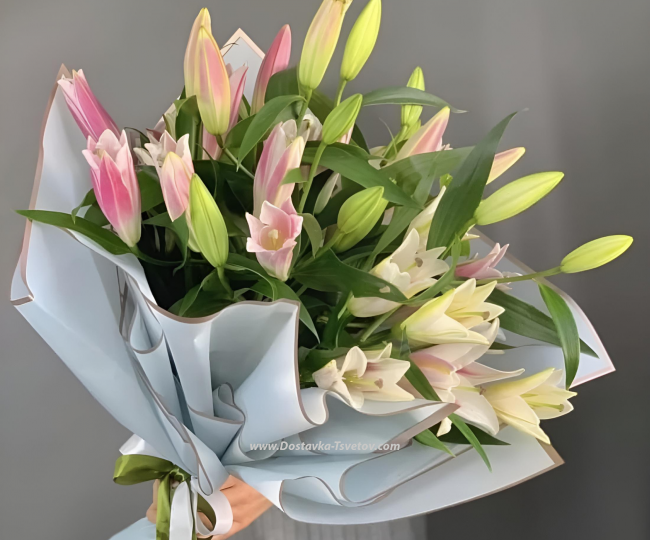 Lilies Bouquet of 11 lilies "Delight"