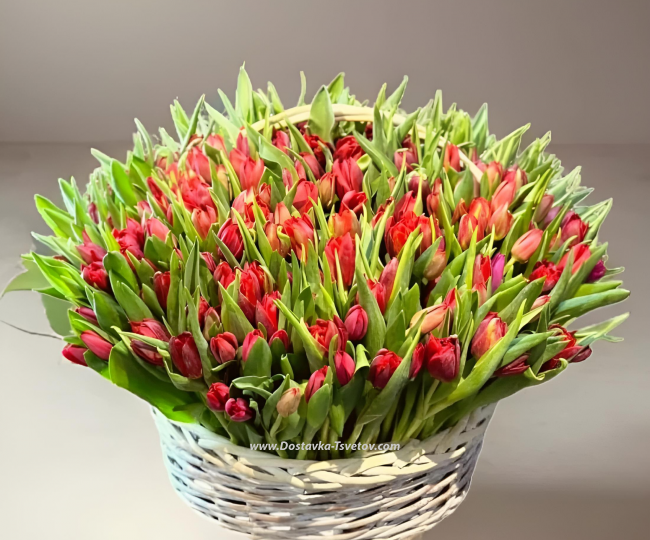 Flowers 301 tulpan in basket "Lyamur"