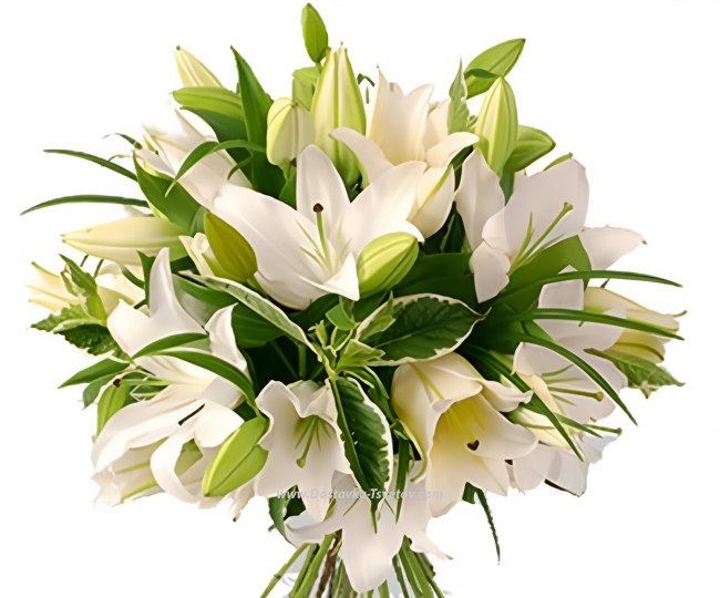 Lilies 15 lilies in the bouquet "Novella"