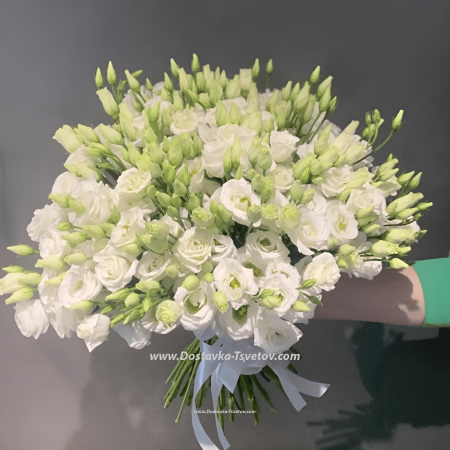 White lisianthus "Ice cream"