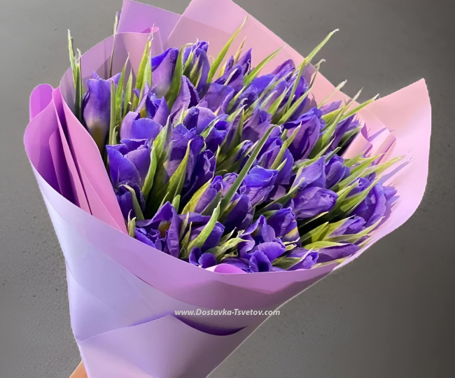 Flowers Irises blue "River Bank"