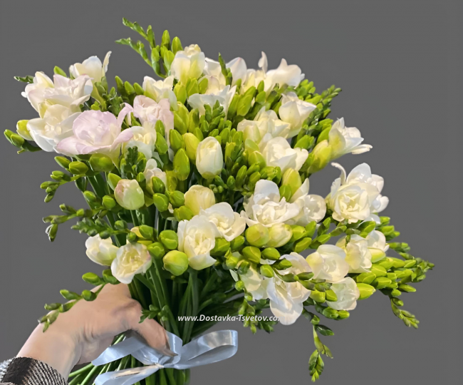 White bouquets White Freesia "Arpha"