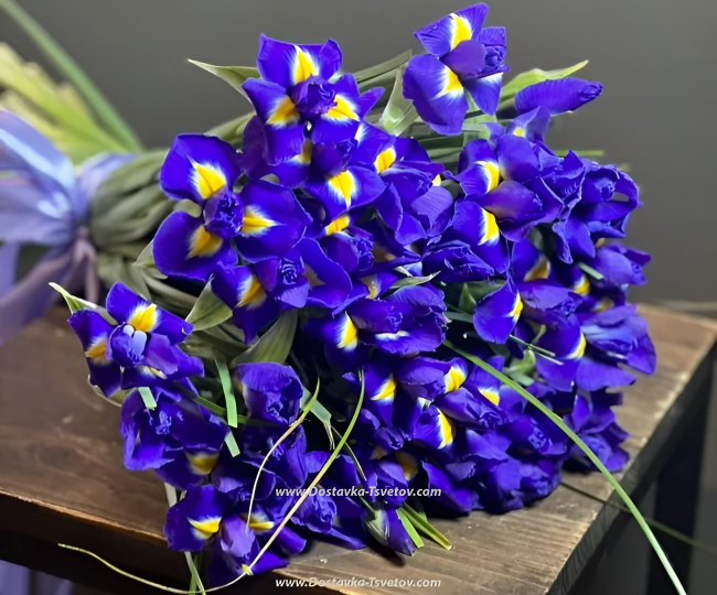 Irises Irises in the bouquet "Venice by Night"