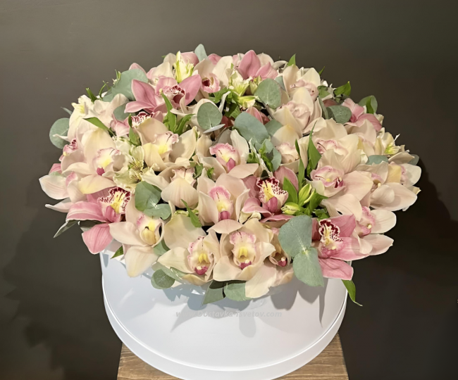 Flowers Orchids in a box "Magic"