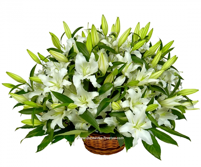 Lilies in a basket White lilies "Sleepy Morning"