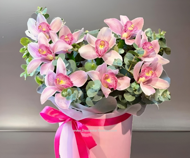 Flowers Pink orchid "Aura"