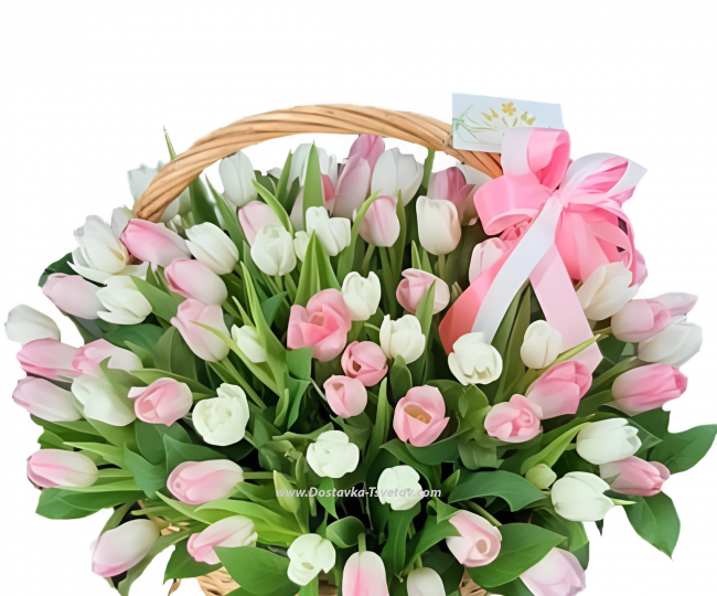 Tulips Tulips in the "Twist" basket