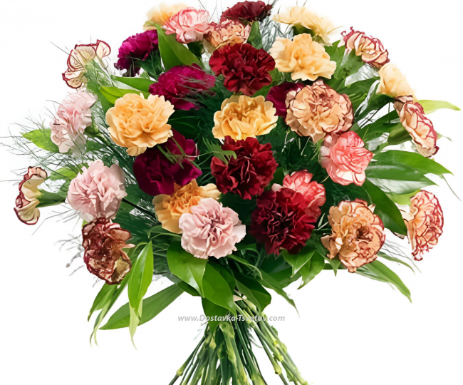 Carnation Bright carnations "Holiday of the Soul"