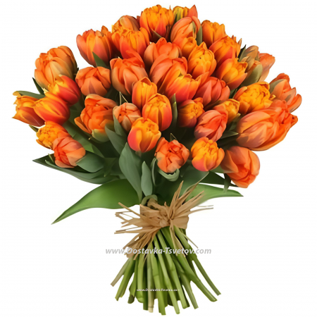 Tulips "Golden Autumn"