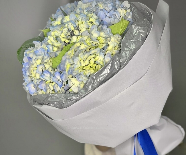 Flowers Bouquet of blue hydrangeas "Evening"