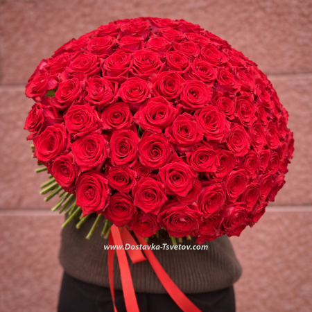 Red Roses "101 Kisses"