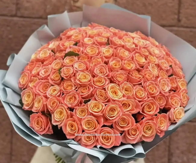 Flowers 101 roses 40 cm "Carmelia"