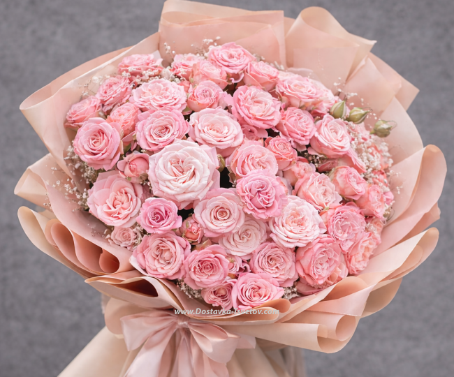 Категория для маркета Shrub roses mix "Patricia"