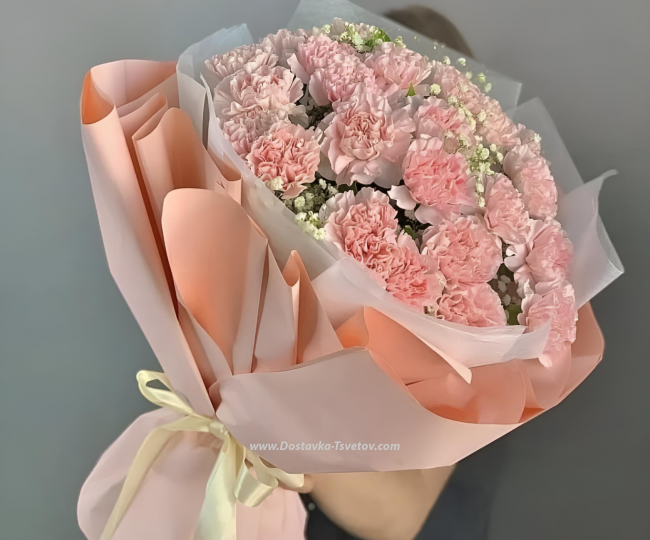 Carnation Pink carnations "Baby"