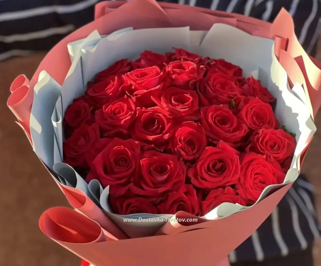 Roses 25 roses 40 cm "Scarlet Whisper"