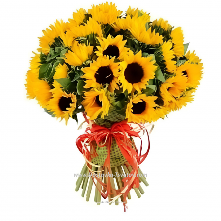 A large bouquet of sunflowers "Clean Field"