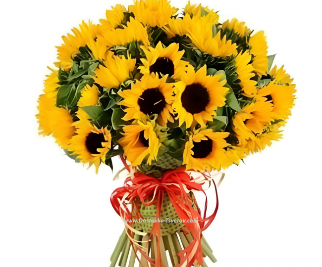Sunflowers A large bouquet of sunflowers "Clean Field"