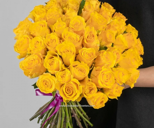 Roses 51 cream roses "Golden Morning"