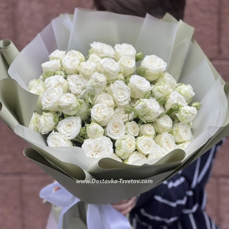 Shrub roses "Snowflake"