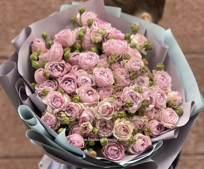 Peony Roses A bouquet of spray roses "New Century"