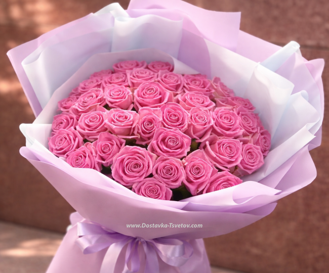 Roses 51 Pink roses "Cherry Jam"