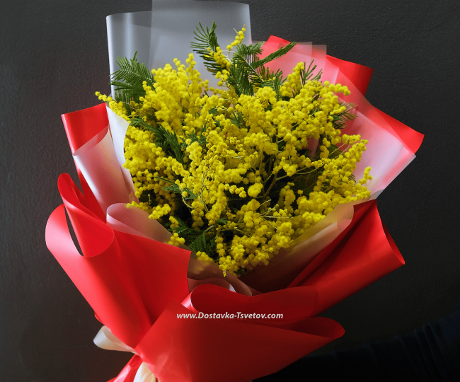 Flowers Mimosa "Warmth of Feelings"