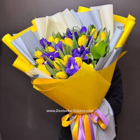 Tulips and irises "Sea Breeze"