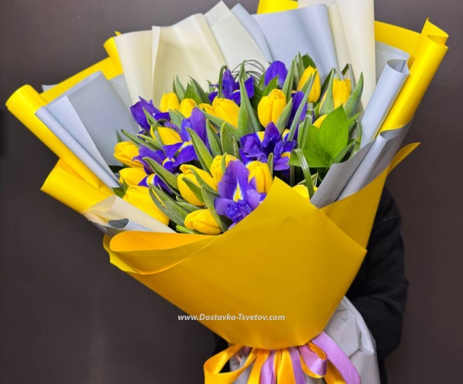 Tulips Tulips and irises "Sea Breeze"