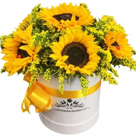 Sunflowers in a box "Summer"