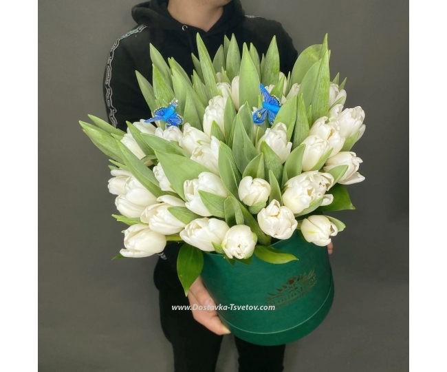 Tulips Bouquet in a box with 51 white tulips "Empire"