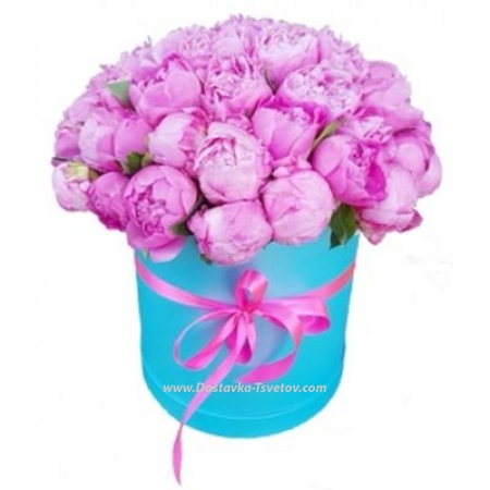 Peonies in a box "Fata Morgana"