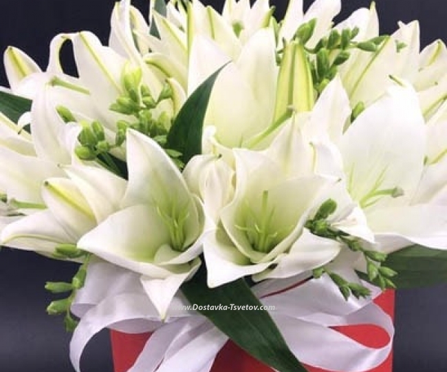 Lilies in a box "Georgia" - photo #4