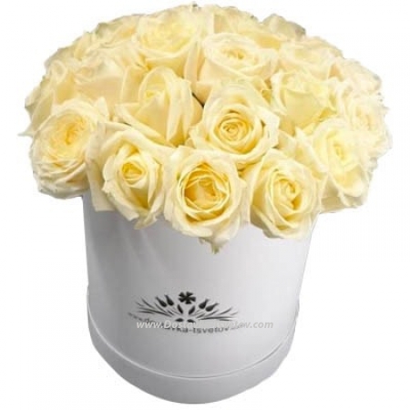 White roses in a hatbox "Gerda"