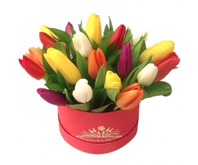 Flowers Box "Spring Joy"