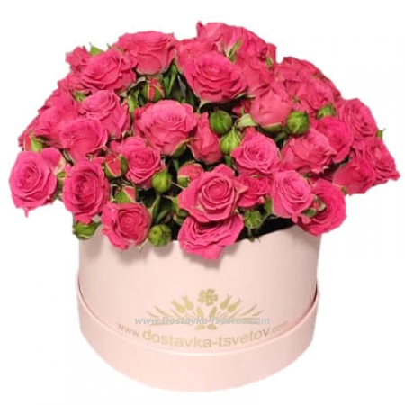 Hat box of spray roses "Vasilisa"