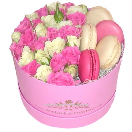 Roses and macaroons "Snezhana"