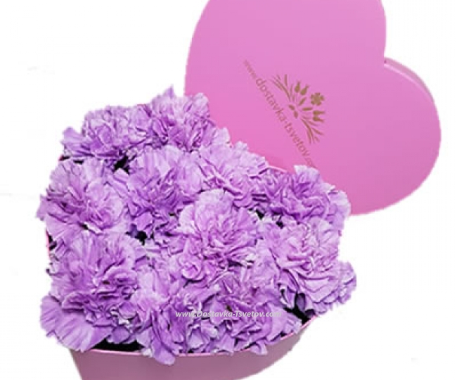 In the box Carnations "The Heart of Beauty"