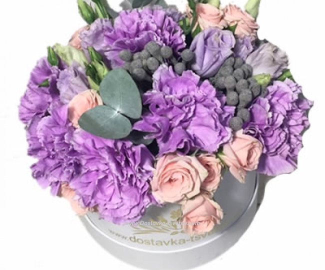 Flowers Purple Carnations "Illumination"
